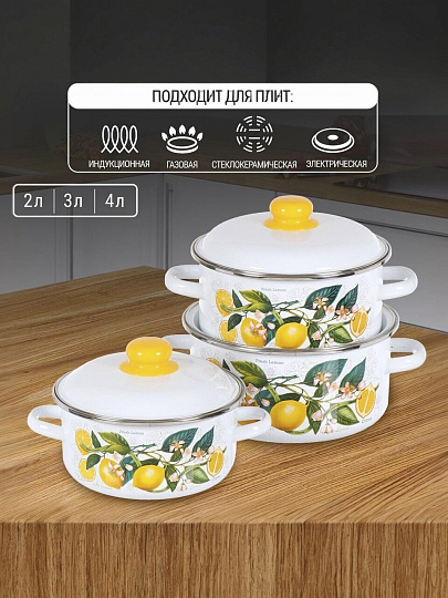 Набор посуды эмалированная сталь, 3 предмета, кастрюли 2,3,4 л, индукция, СтальЭмаль, Лимоны в цвету, 1KB051M