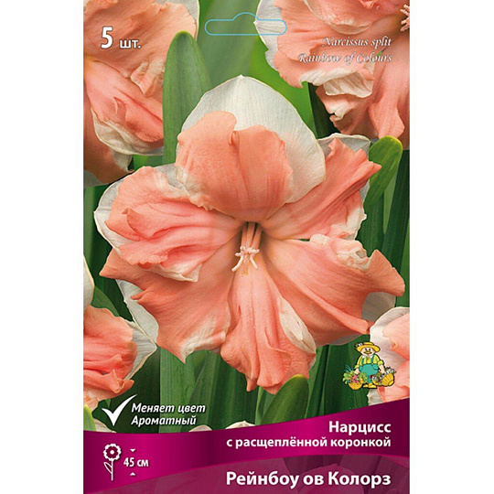 Луковицы Нарцисс с расщепленной коронкой, Рейнбоу ов Колорз, 12-14/К, 5 шт