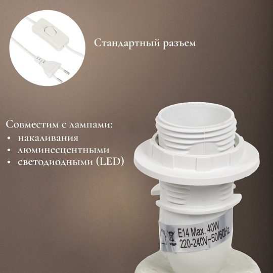 Светильник настольный E14, графит, абажур графит, RL-TL010-2