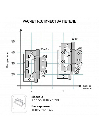 Петля накладная для деревянных дверей, Аллюр, 100х75х2.5 мм, универсальная, 2ВВ BL, 14532, 2 шт, коробка, матовый черный