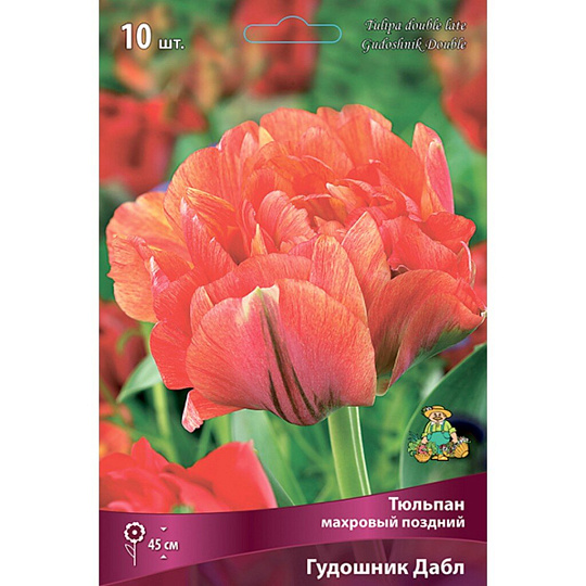 Луковицы Тюльпан махровый поздний, Гудошник Дабл, 11-12/К, 10 шт