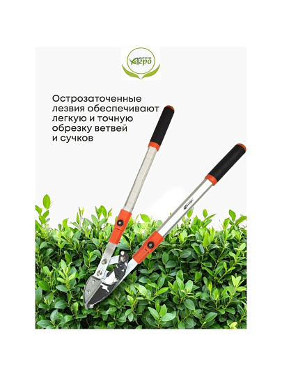 Ножницы садовые для кустарников, 450 мм, с овальными ручками, Инструм-Агро, НКТО S331A-В, телескопическая штанга, 010145