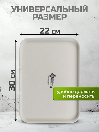 Поднос пластик, 30х22 см, прямоугольный, белый, Y4-8639