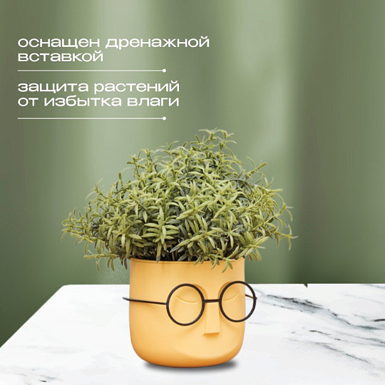 Кашпо пластик, 0.65 л, 11.5х10.5 см, со вставкой, банановое, Idea, Стив, М 3079