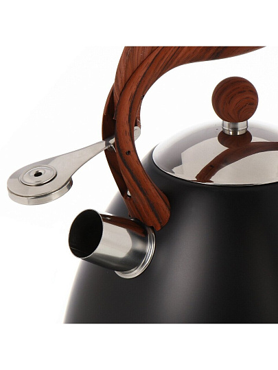 Чайник нержавеющая сталь, 2.7 л, со свистком, ручка бакелитовая, с силиконовым покрытием, Daniks, индукция, PR-2204