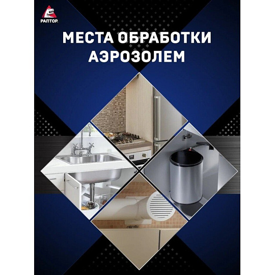 Инсектицид Новая формула, от ползающих насекомых, аэрозоль, 455 мл, Раптор