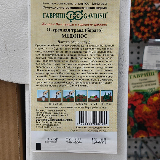 Семена Цветы, Бораго, Огуречная трава Медонос, 0.3 г, Семена от автора, цветная упаковка, Гавриш