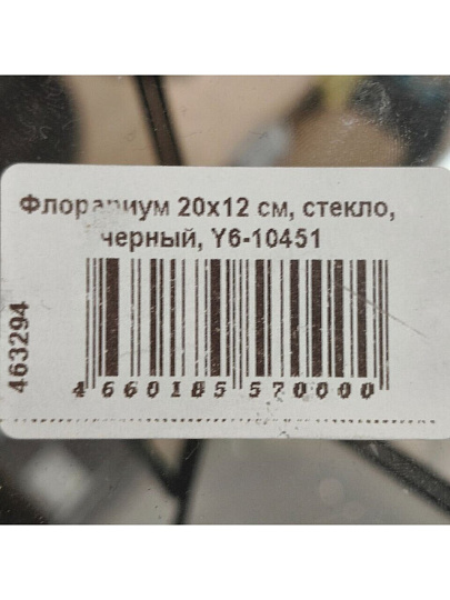 Флорариум 20х12 см, стекло, черный, Y6-10451