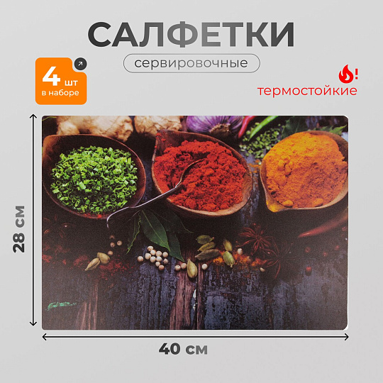 Набор салфеток пластик, 40х28 см, прямоугольный, 4 шт, для стола, Специи, Y4-9159