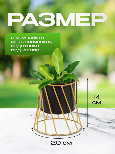 Кашпо металл, 1.5 л, 9.5х14х14 см, декоративное, черное, Y6-10465
