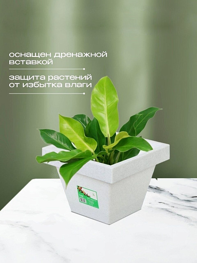 Кашпо пластик, 1.5 л, 14.5х12.5 см, белый гранит, Darel, Квадро, 50702