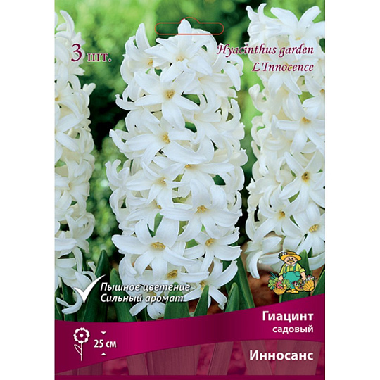 Луковицы Гиацинт садовый, Инносанс, 14-15/К, 3 шт
