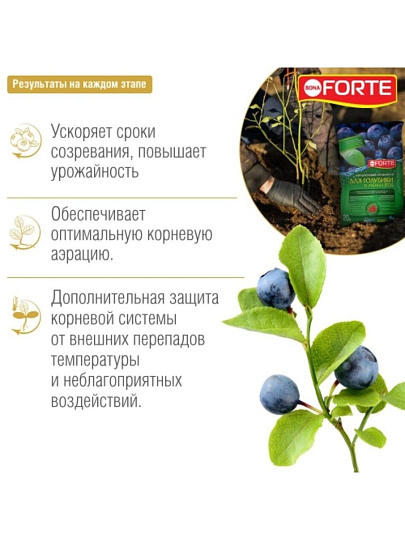 Грунт для голубики и лесных ягод, 20 л, Bona Forte