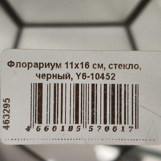 Флорариум 11х16 см, стекло, черный, Y6-10452