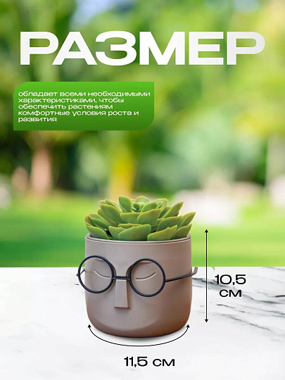 Кашпо пластик, 0.65 л, 11.5х10.5 см, со вставкой, французский серое, Idea, Стив, М 3079