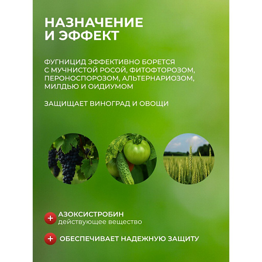 Фунгицид Интрада, защита овощных и полевых культур, 50 мл, жидкость, Avgust