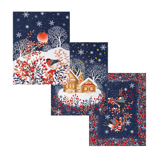 Набор полотенец кухонных 3 шт, 45х60 см, рогожка, 100% хлопок, АртДизайн, Колядки, Россия, НЗ_ПКР45.60