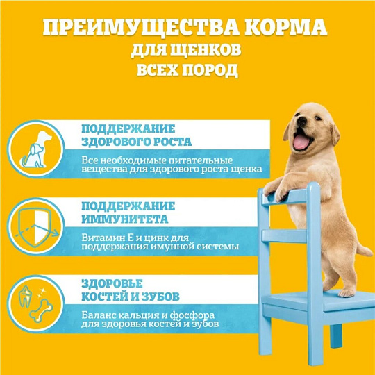 Корм для животных Pedigree, 85 г, для щенков всех пород, кусочки в желе, говядина, пауч, 47467/7699
