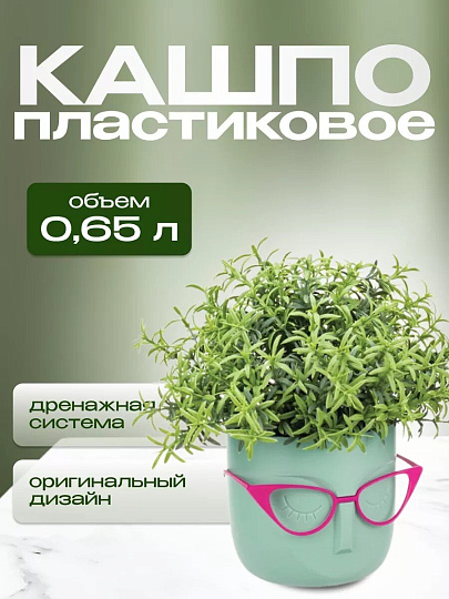 Кашпо пластик, 0.65 л, 11.5х10.5 см, со вставкой, белый ротанг, Idea, Мари, М 3075
