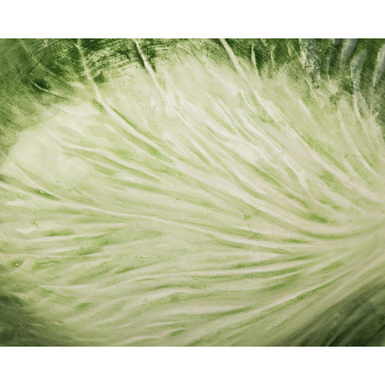 Блюдо "капуста" 20*13 см., 628-154