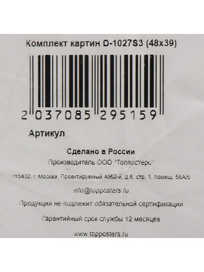 Картина комплект холст, 48х39 см, 3 модуля, D-1027S3