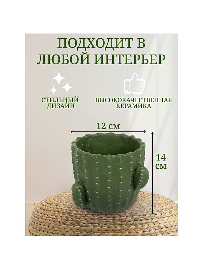 Кашпо керамика, 1 л, 14х12х14 см, Кактус, Y4-3081