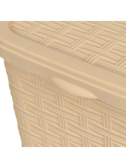Контейнер для порошка 6 л, бежевый, DDStyle, Rattan, 5305