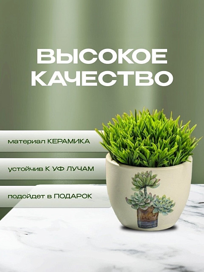 Кашпо керамика, 0.2 л, 6.5х8х6.5 см, в ассортименте, Кактусы, Y3-1295/318493
