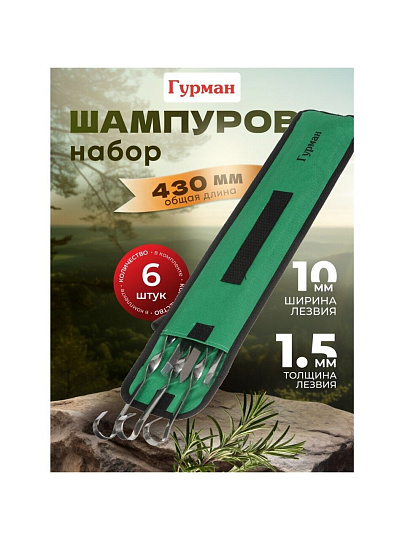 Шампур лезвие плоское, 6 шт, 430х10х1.5 мм, нержавеющая сталь, Гурман, в чехле, CB2234