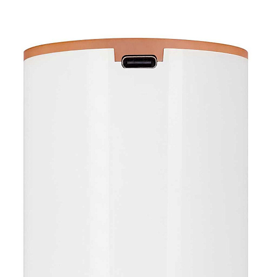 Помпа аккумуляторная Ecotronic, PLR-240 white