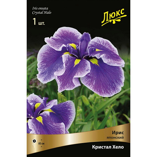 Луковицы Ирис японский, Кристал Хало