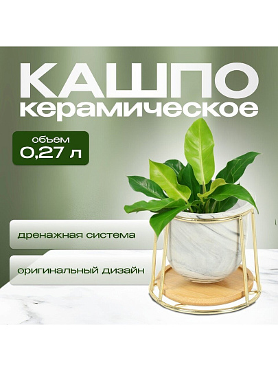Горшок керамика, 0.27 л, 10х10.7 см, с золотой подставкой, Мрамор, Y4-5088