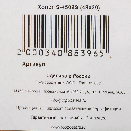 Картина холст, 48х39 см, S-4509S