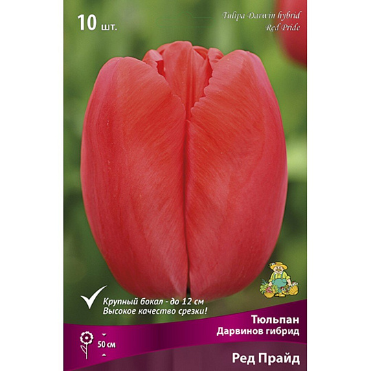 Луковицы Тюльпан Дарвинов гибрид, Ред Прайд, 11-12/К, 10 шт