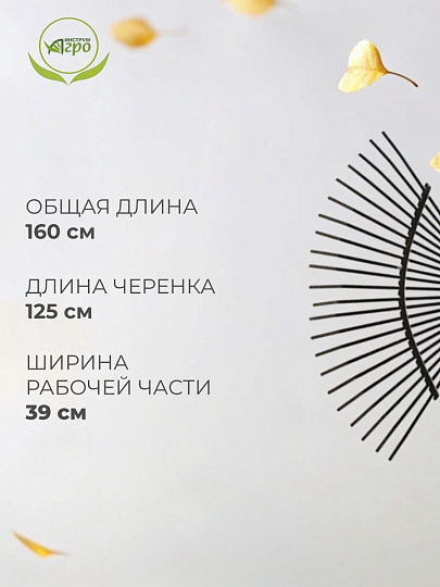 Грабли веерные, 22 зуб, металл, Инструм-Агро, ГВП (УЛ), проволочные, черенок металлический, 030216