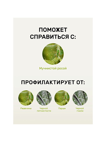 Фунгицид от мучнистой росы, 450 мл, спрей, Защищай!