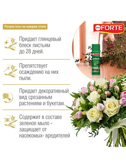 Удобрение для листьев, баллон, спрей, 500 мл, Bona Forte