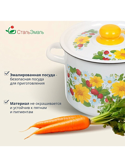 Кастрюля эмалированная сталь, 4.5 л, крышка сталь, СтальЭмаль, 1с17с, в ассортименте, индукция