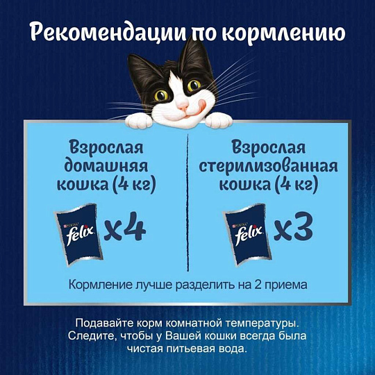 Корм для животных Феликс, Sansations, 75 г, для взрослых кошек, кусочки в желе, курица и морковь, пауч, 12512747