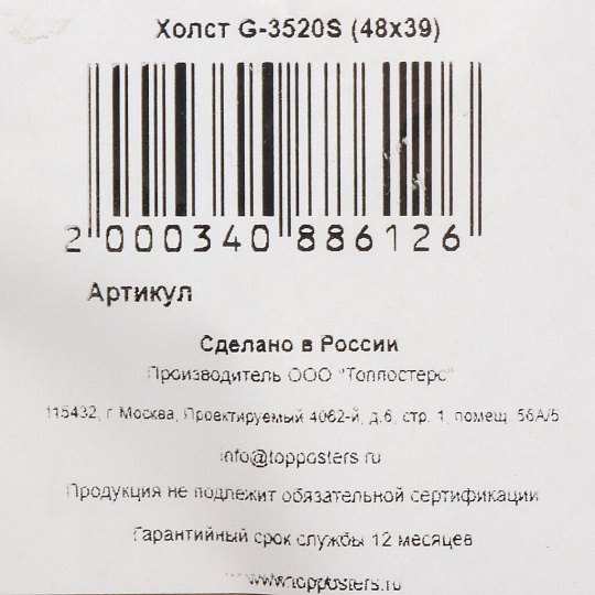 Картина холст, 48х39 см, G-3520S