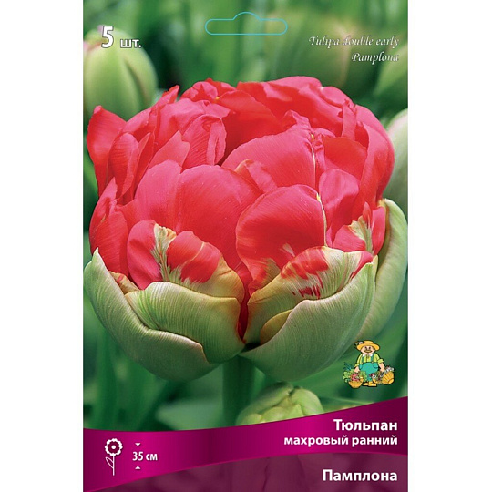 Луковицы Тюльпан махровый ранний, Памплона, 12+/К, 5 шт