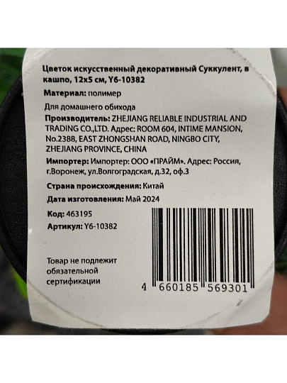 Цветок искусственный декоративный Суккулент, в кашпо, 12х5 см, Y6-10382