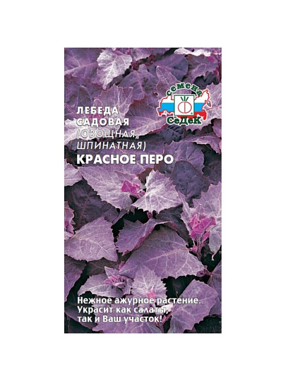Семена Лебеда, Красное перо, цветная упаковка, Седек