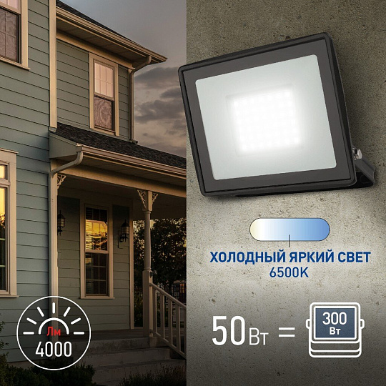 Прожектор светодиодный, Эра, LPR-023-0-65K-050, 50 Вт, 6500 К, IP65, 4000 Лм, уличный, Б0052024