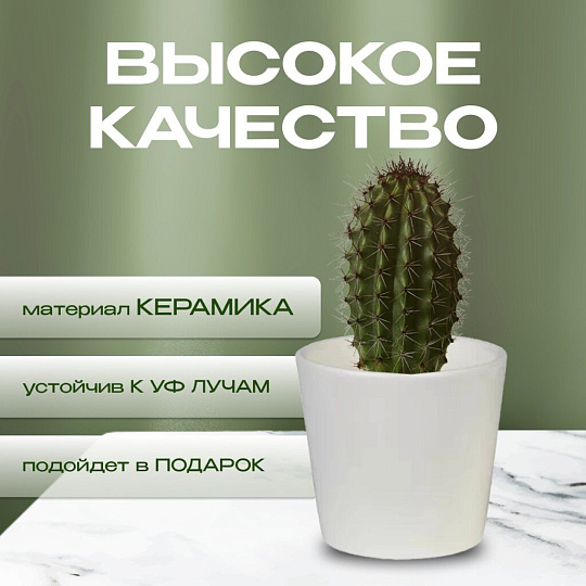 Кашпо керамика, 0.2 л, 8х7 см, конус, Белый, 633604