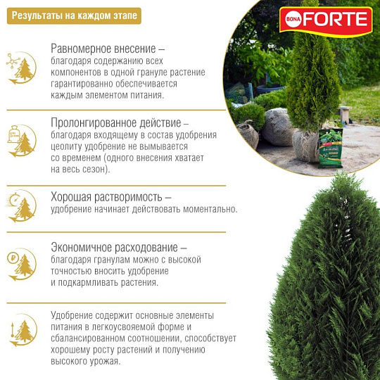 Удобрение Хвойное, пролонгированное с биодоступным кремнием, минеральное, гранулы, 5 кг, Bona Forte