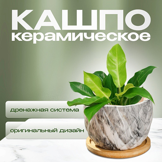 Горшок керамика, 0.2 л, 8.5х8.5х7 см, для кактусов и суккулентов, Мини, Y4-5358