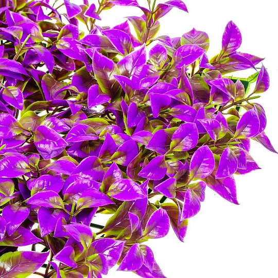 Декоративная панель Трава Purple Chili leaf, 40х60х5 см, Y4-4005