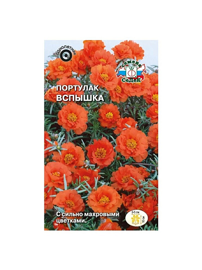 Семена Цветы, Портулак, Вспышка, махровый, оранжевый, цветная упаковка, Седек