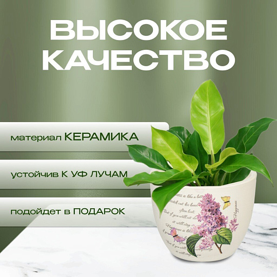 Кашпо керамика, 0.2 л, 6.5х8х8 см, в ассортименте, Цветы малый, Y3-1294/318492